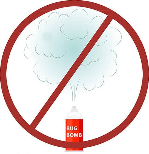 DYI Myth Killing Bedbugs with Fogger Bomb